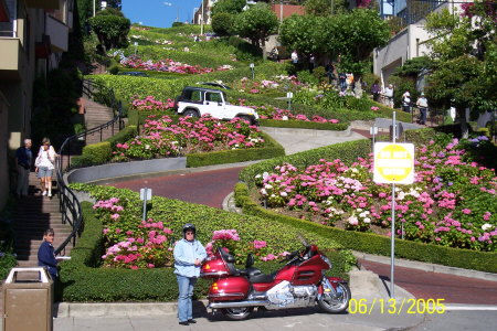 Looking Up Lombard Street..... San Francisco's Crookedest Street